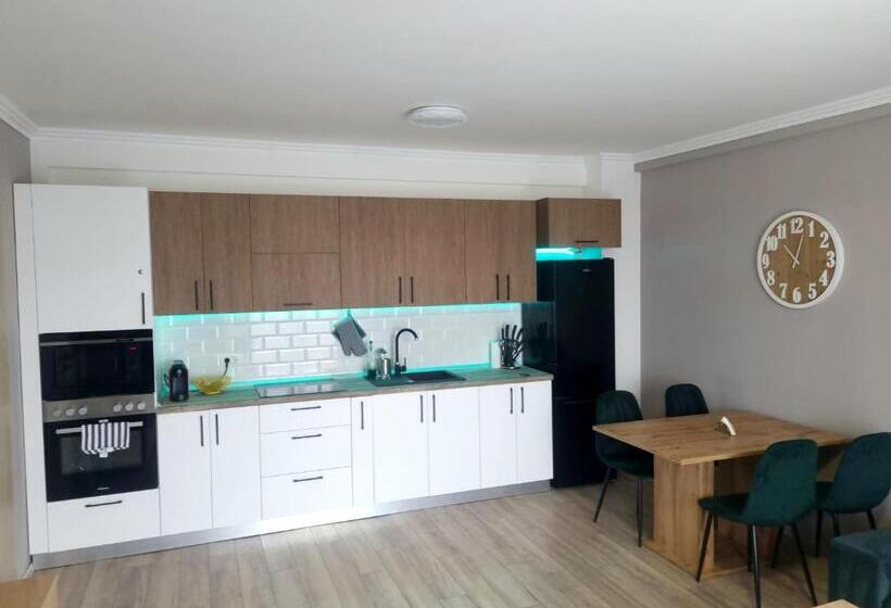 1 Sovrums Lägenhet, Apartamentul ștefan Băile Felix