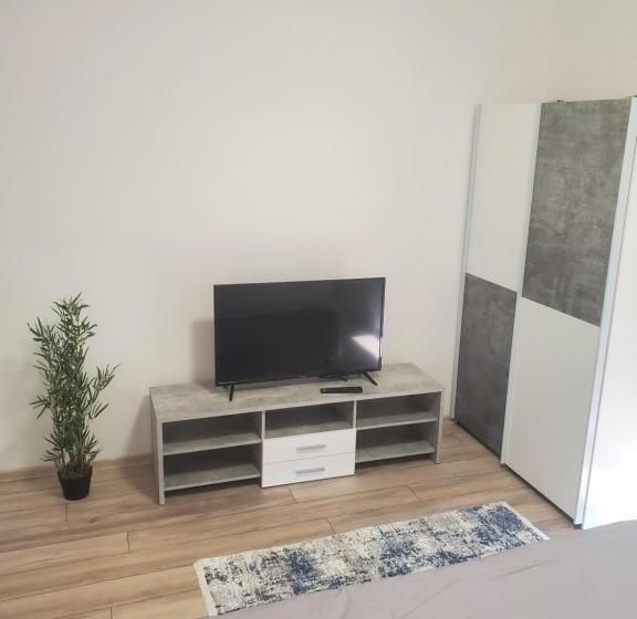 Apartamento 1 Dormitório, Apartamentul ștefan Băile Felix