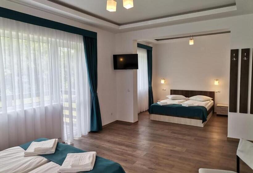 اتاق خانوادگی, Vila President Sovata