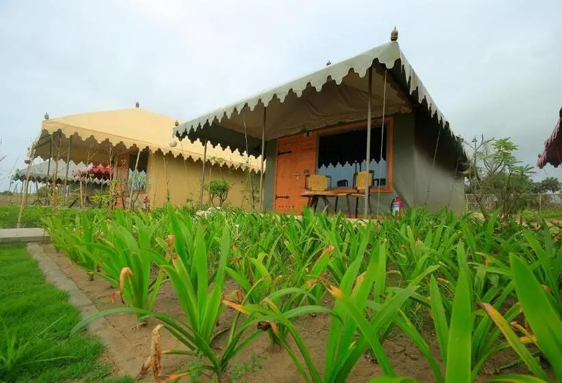 Standard Tent, The Fern Seaside Luxurious Tent Resort Diu