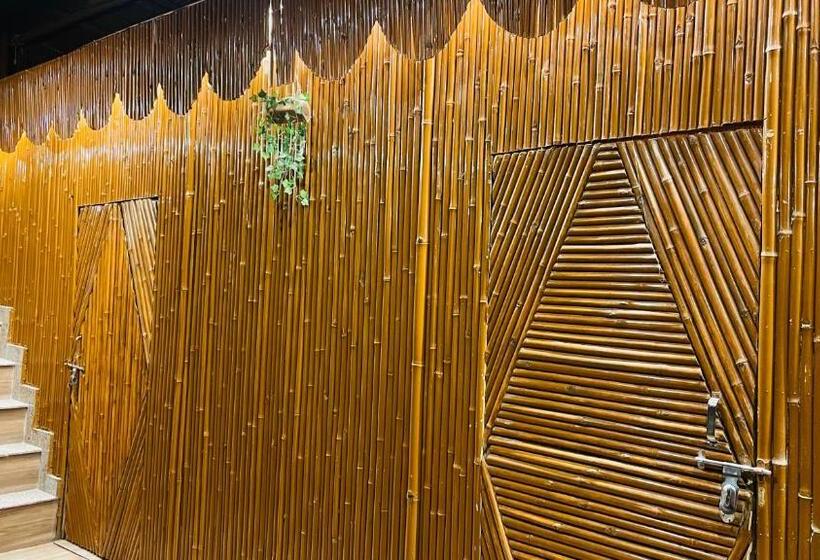 חדר משפחתי דלוקס, The Downtown Stays