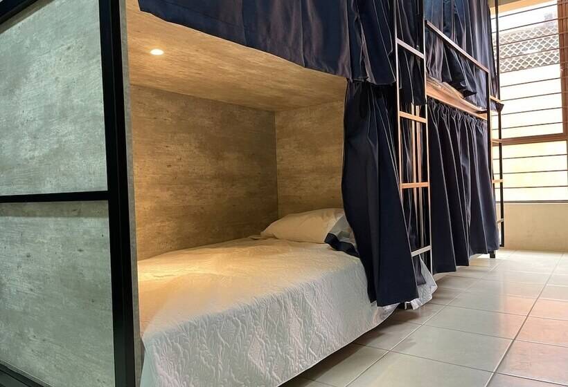 تختخواب در اتاق مشترک, Hostal Xao