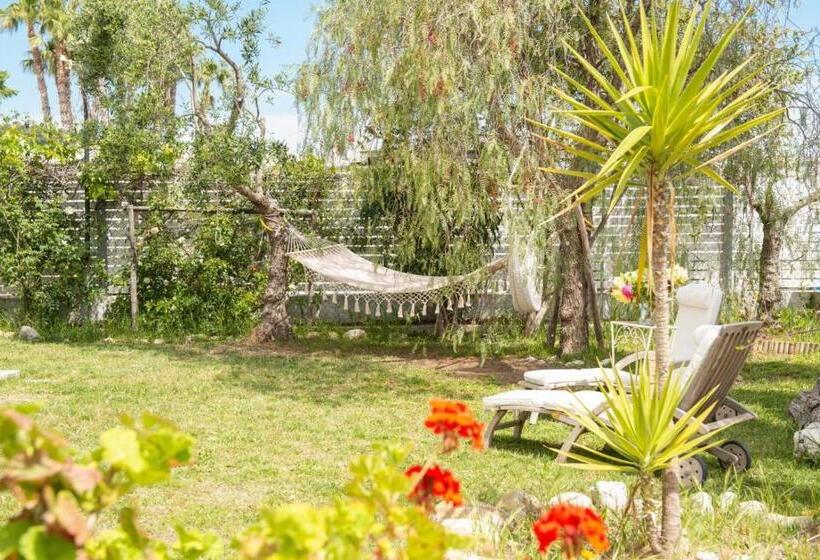 带1个卧室带花园景观的公寓, Aria Di Mare Vieste Luxury Apartments By The Sea