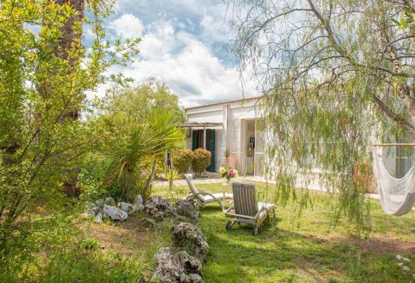 带1个卧室的公寓, Aria Di Mare Vieste Luxury Apartments By The Sea