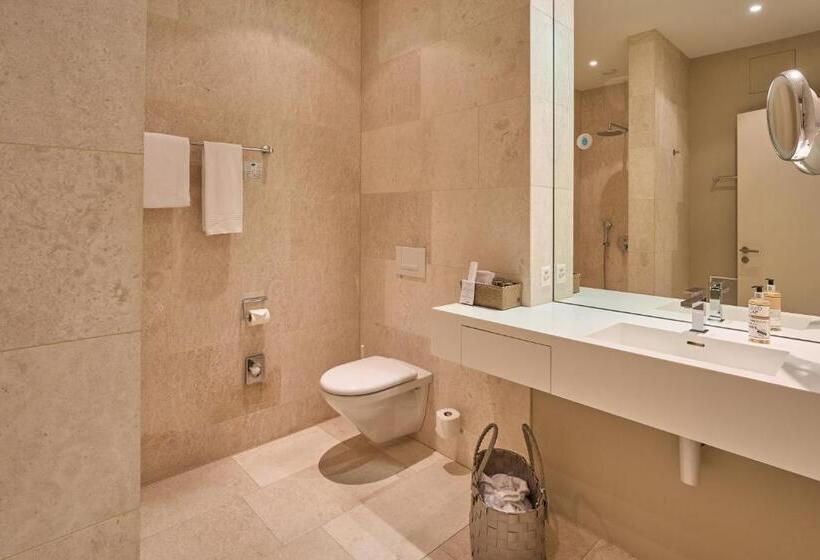 Номер Superior Вид на Реку, Limmathof Baden   Boutique Haus & Spa