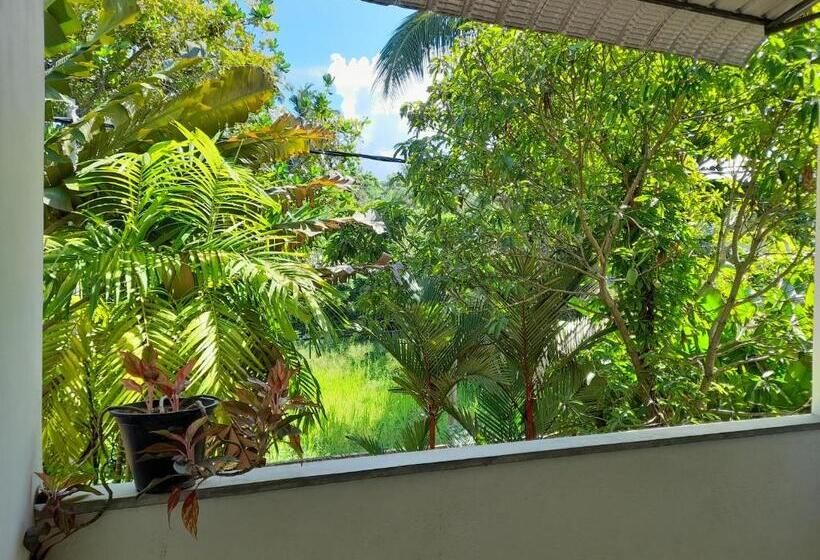 غرفة قياسية, Mealanie S House