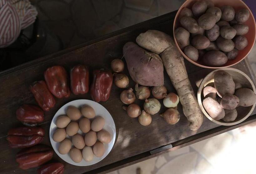 스탠다드 룸 가든 전망, Hostel Los Amigos Yoga & Wellness