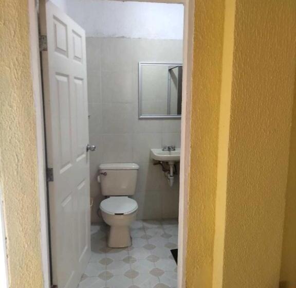 اتاق استاندارد چهار تخته, Premier Rioverde