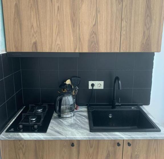 استودیو خانوادگی, Polifonia Inn Borjomi