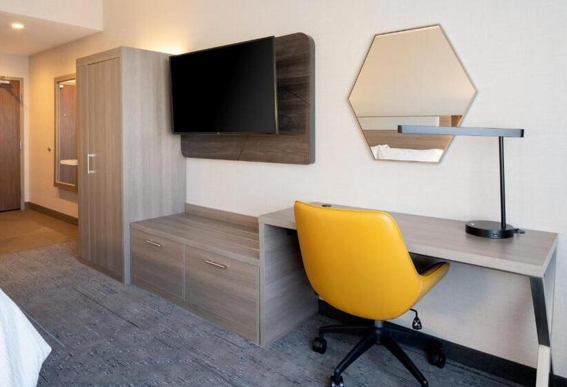 장애인을 위한 킹사이즈 침대 스탠다드 룸, Holiday Inn Express & Suites   Hollister, An Ihg