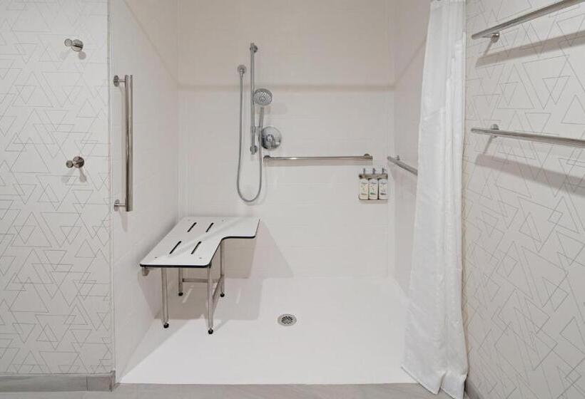 장애인을 위한 킹사이즈 침대 스탠다드 룸, Holiday Inn Express & Suites   Hollister, An Ihg