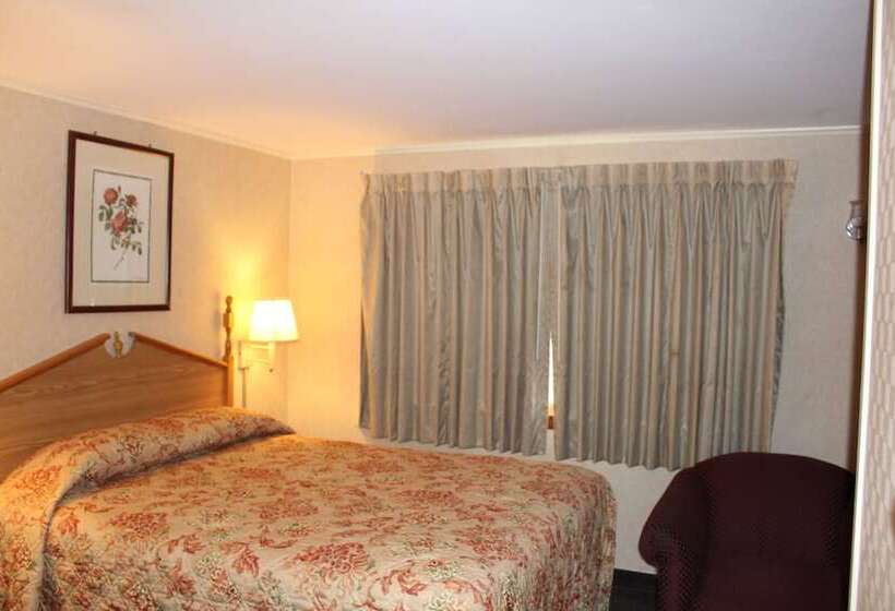 غرفة قياسية, Elm Motel