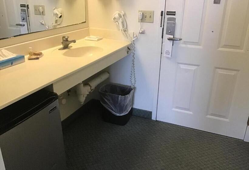 غرفة قياسية لذوى الاحتياجات الخاصة, Anastasia Inn   Saint Augustine