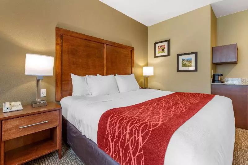 バスルーム共有のシングルスタンダード, Inn At St John Portland In Town