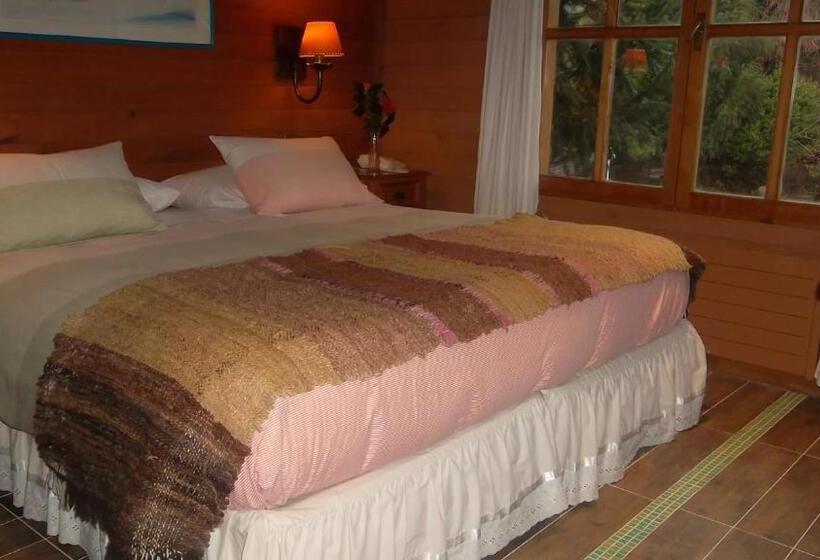 스탠다드 룸, Malalhue