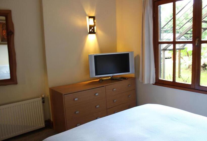 스탠다드 룸, Malalhue