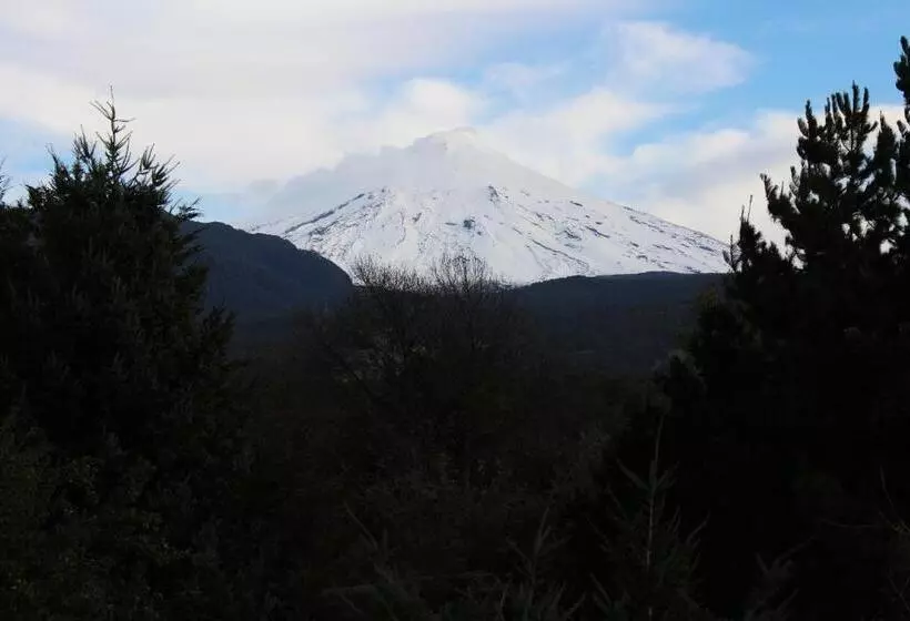 スーペリアールーム, Malalhue