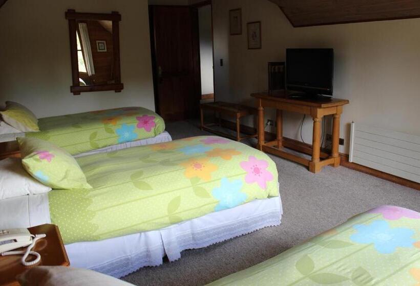 스탠다드 트리플 룸, Malalhue