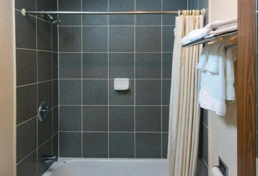 غرفة قياسية سرير كينج, Rodeway Inn