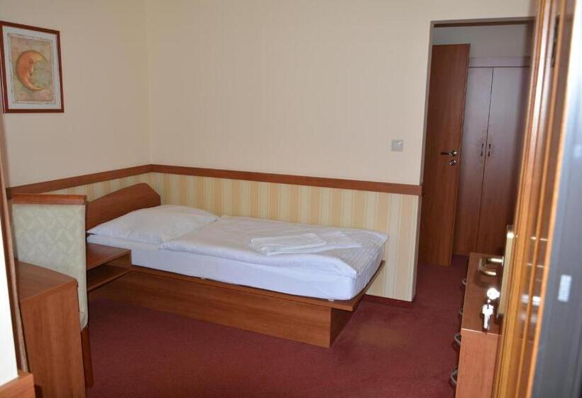 غرفة قياسية فردية, Penzion Na Potočnej