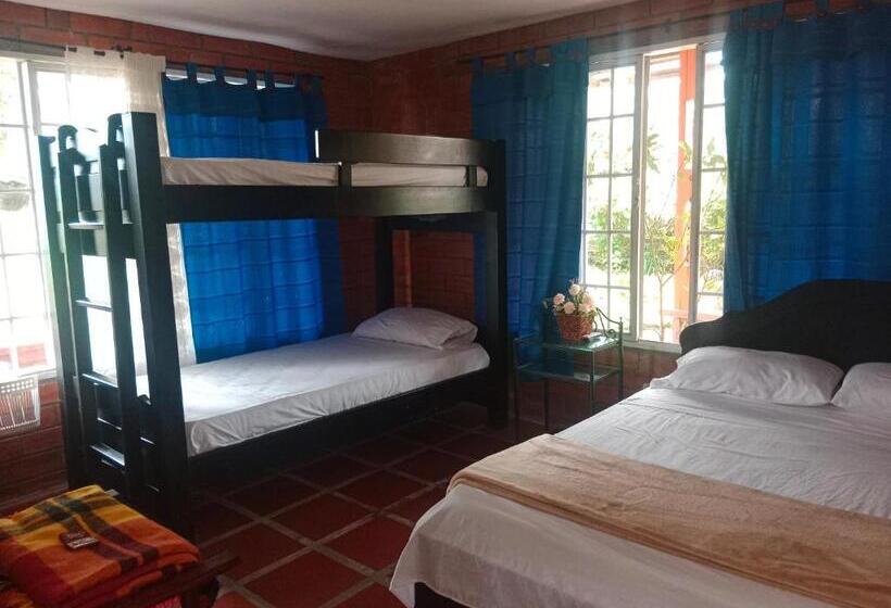 ２ダブルベッドのスタンダードルーム, Finca Casa Marina