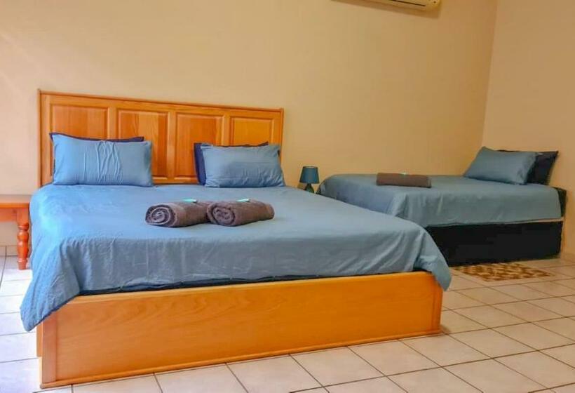 スタンダード4人部屋, Alpha B Lodging