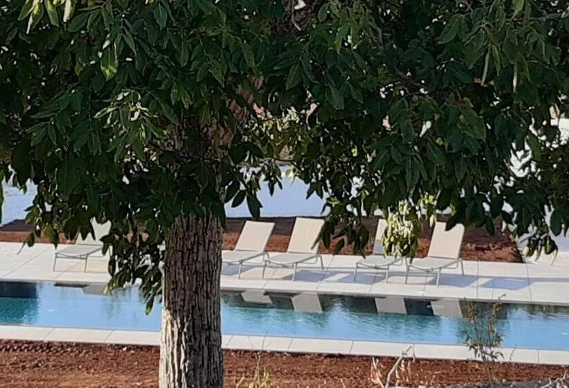 ３ベッドルームハウス, Trulli Mest Andrea Alle Lame