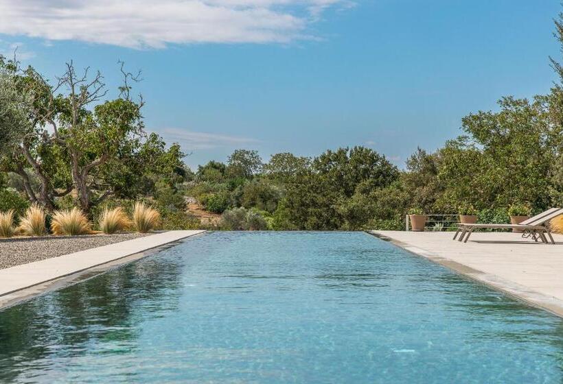 ３ベッドルームハウス, Trulli Mest Andrea Alle Lame