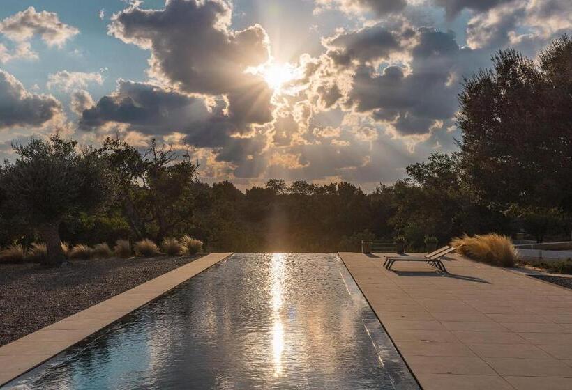 ３ベッドルームハウス, Trulli Mest Andrea Alle Lame