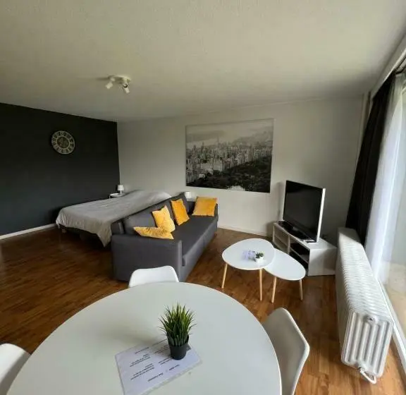 バルコニー付き1ベッドルームアパートメント, Alexis S Loft