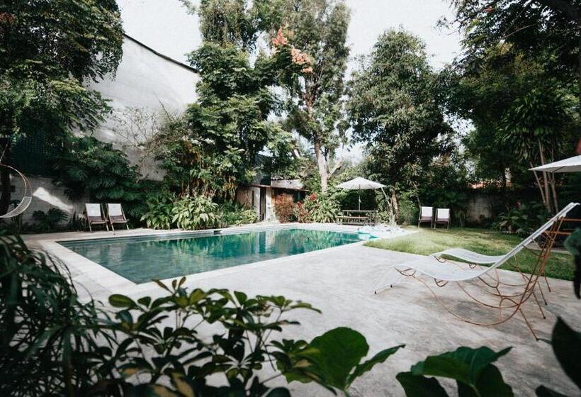 标准间, Casa Amaranto