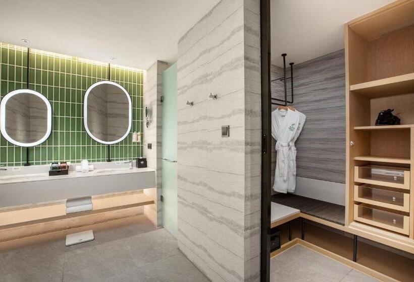 سوئیت با تخت بزرگ, Holiday Inn Resort Guiyang Qingyan, An Ihg