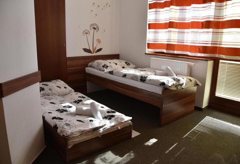 غرفة قياسية فردية, Avalanche