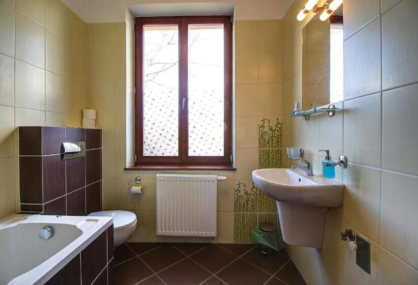 شقة غرفة واحدة, Avalanche