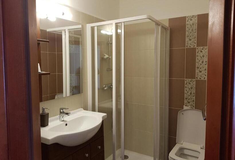 豪华房间, Duna Panzió