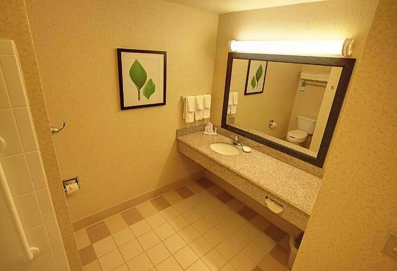 اتاق استاندارد با تخت بزرگ, Fairfield Inn & Suites Mount Vernon Rend Lake