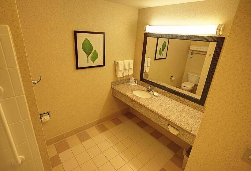 غرفة قياسية, Fairfield Inn & Suites Mount Vernon Rend Lake