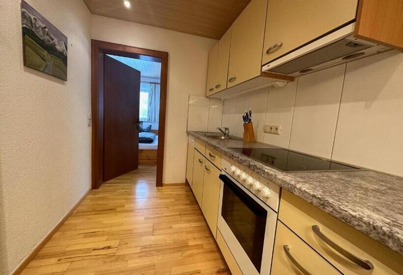 آپارتمان 1 خوابه با بالکن, Haus Ausserbach
