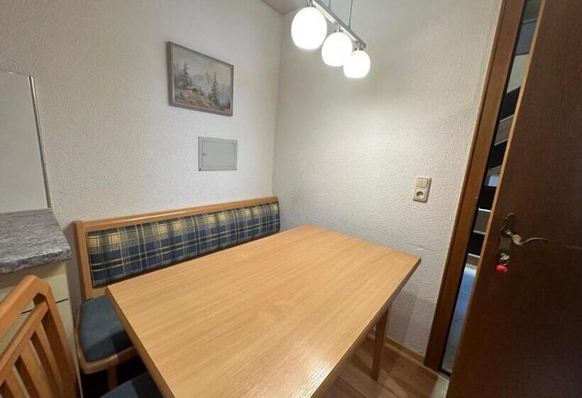 آپارتمان 1 خوابه با بالکن, Haus Ausserbach