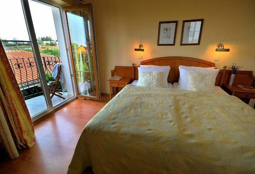 חדר סטנדרט, Penzion Tematin