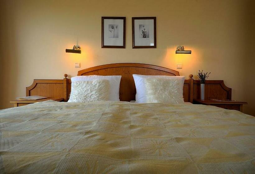 חדר סטנדרט, Penzion Tematin