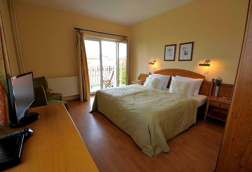 חדר סטנדרט, Penzion Tematin