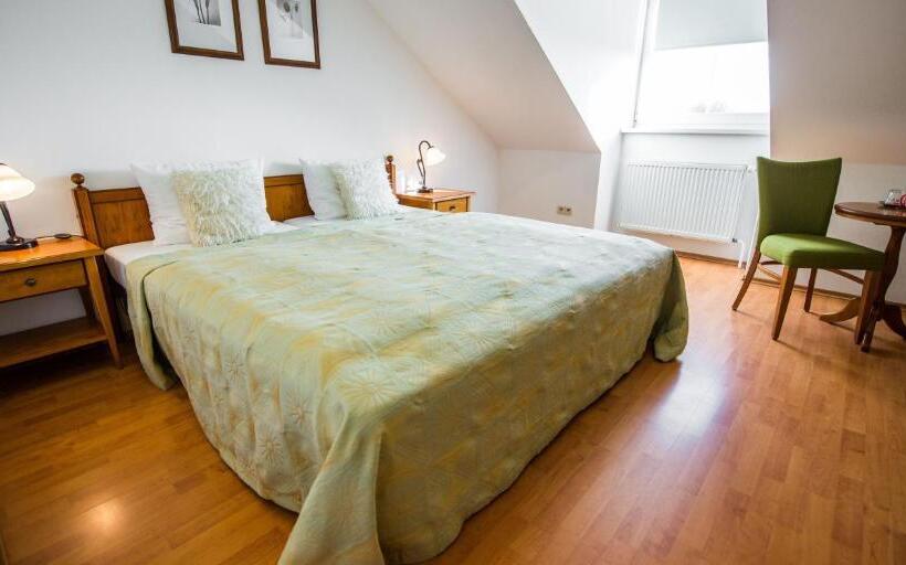 חדר סטנדרט, Penzion Tematin