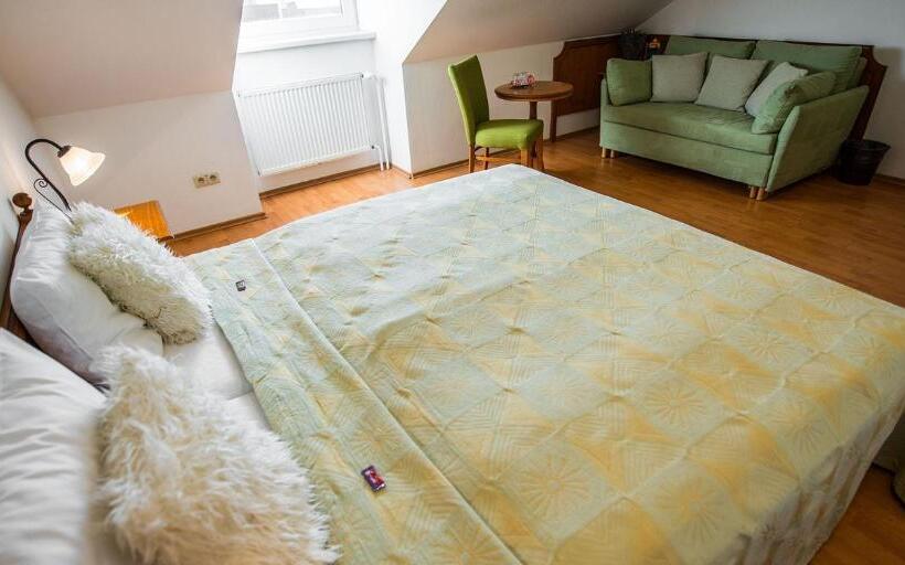 חדר סטנדרט, Penzion Tematin