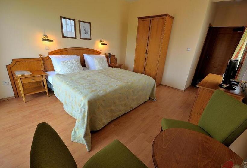 חדר סטנדרט עם כניסה לספא, Penzion Tematin