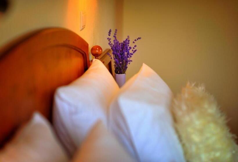 סוויטה, Penzion Tematin