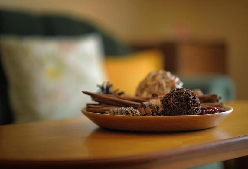 סוויטה, Penzion Tematin