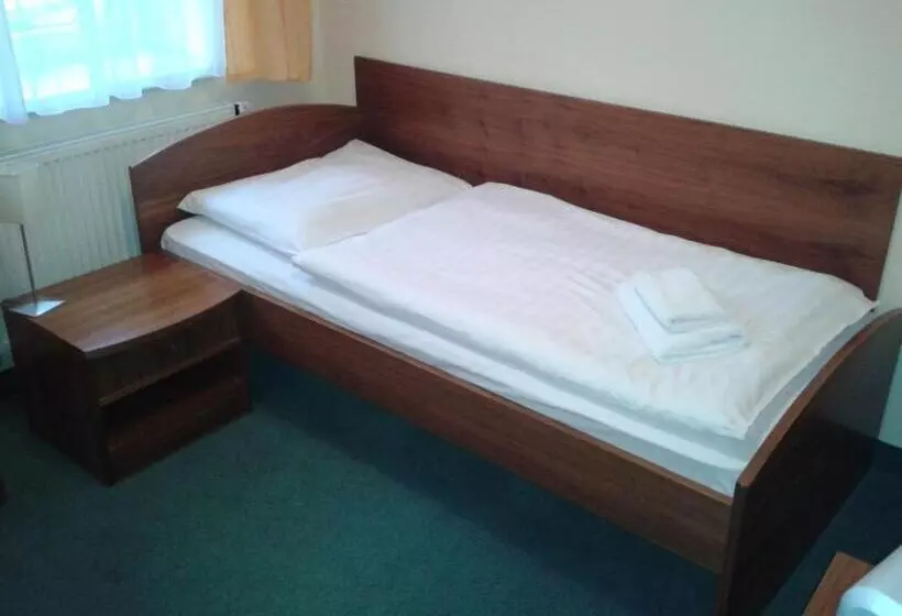 スタンダードシングルルーム, Parkhotel Centrum