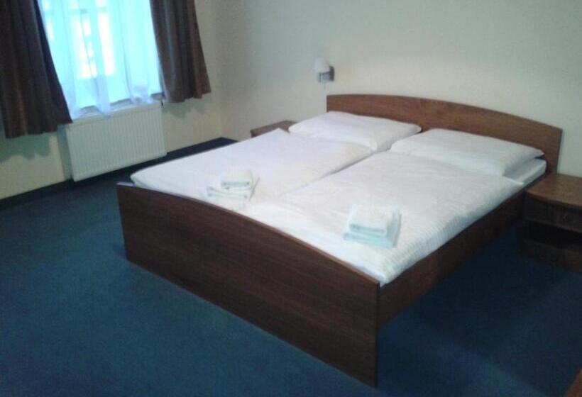 标准间, Parkhotel Centrum