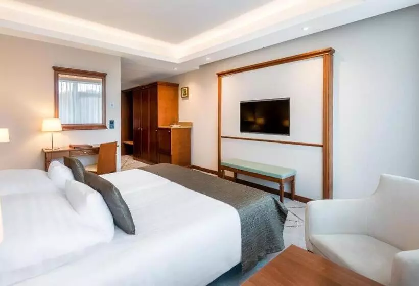 اتاق استاندارد با بالکن, Hunguest Saliris